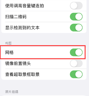 城中苹果手机维修网点分享iPhone如何开启九宫格构图功能 