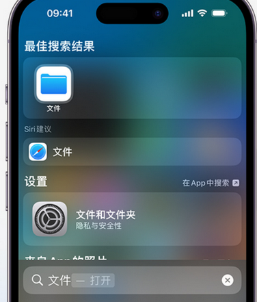 城中apple维修中心分享iPhone文件应用中存储和找到下载文件