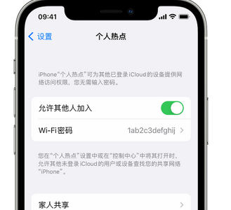 城中apple服务站点分享iPhone上个人热点丢失了怎么办 