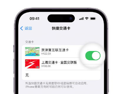 城中apple维修点分享iPhone上更换Apple Pay快捷交通卡手绘卡面 