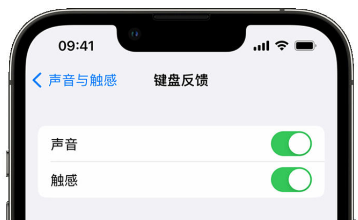 城中苹果手机维修分享iPhone 14触感键盘使用方法 