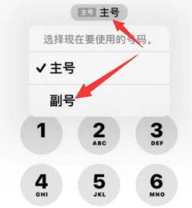 城中苹果14维修店分享iPhone 14 Pro Max使用副卡打电话的方法 