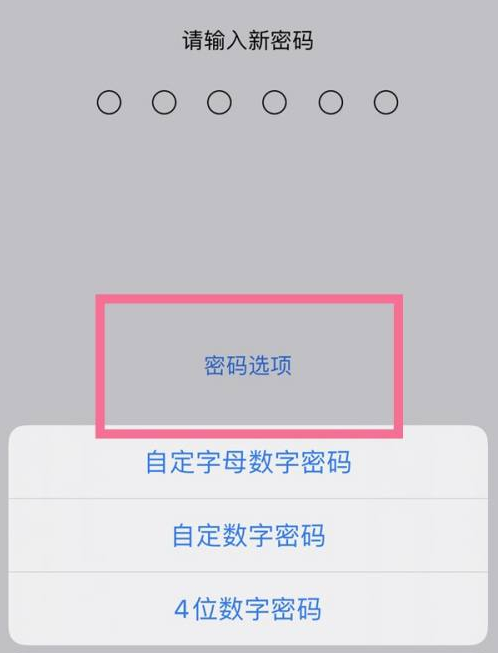 城中苹果14维修分享iPhone 14plus设置密码的方法 