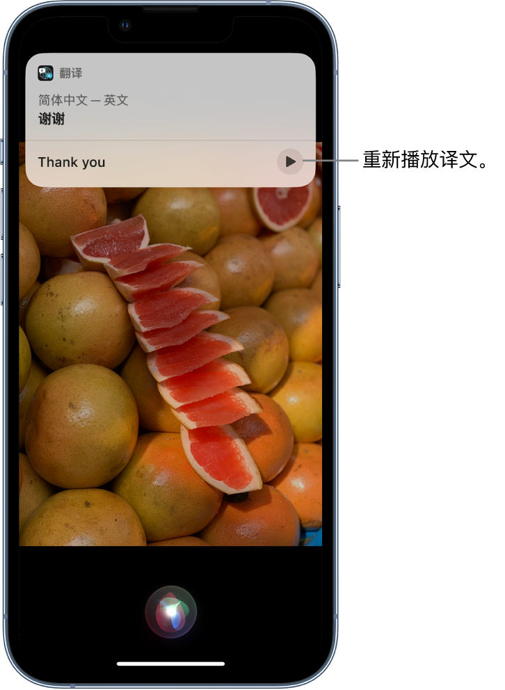 城中苹果14维修分享 iPhone 14 机型中使用 Siri：了解 Siri 能帮你做什么 