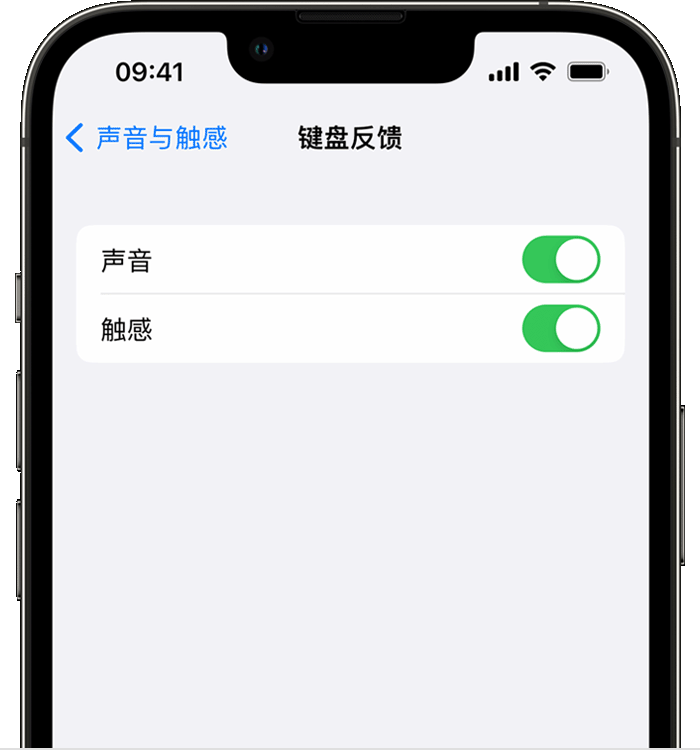 城中苹果14维修分享iPhone 14 系列机型如何开启键盘声音或触感反馈 