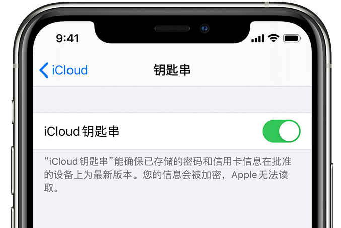 城中苹果手机维修分享在 iPhone 上开启 iCloud 钥匙串之后会储存哪些信息 