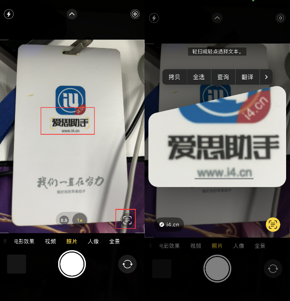 城中苹果手机维修分享升级iOS 16后如何通过相机翻译文本 
