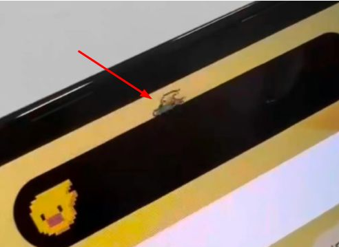城中苹果14维修分享iPhone 14 Pro Max灵动岛怎么养宠物 