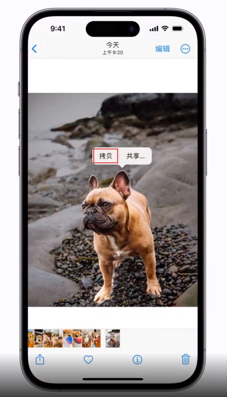 城中苹果手机维修分享 iOS 16 自带一键抠图功能 