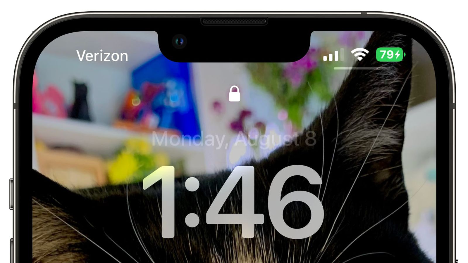 城中苹果手机维修分享iOS 16 beta 5 支持状态栏显示电池百分比，如何开启？支持哪些机型 