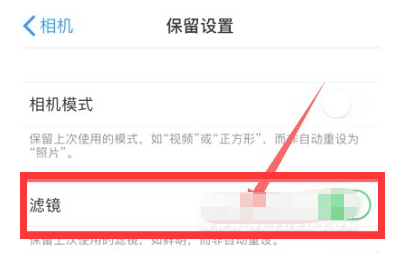 城中苹果13维修分享iPhone13拍照有绿点是怎么回事 