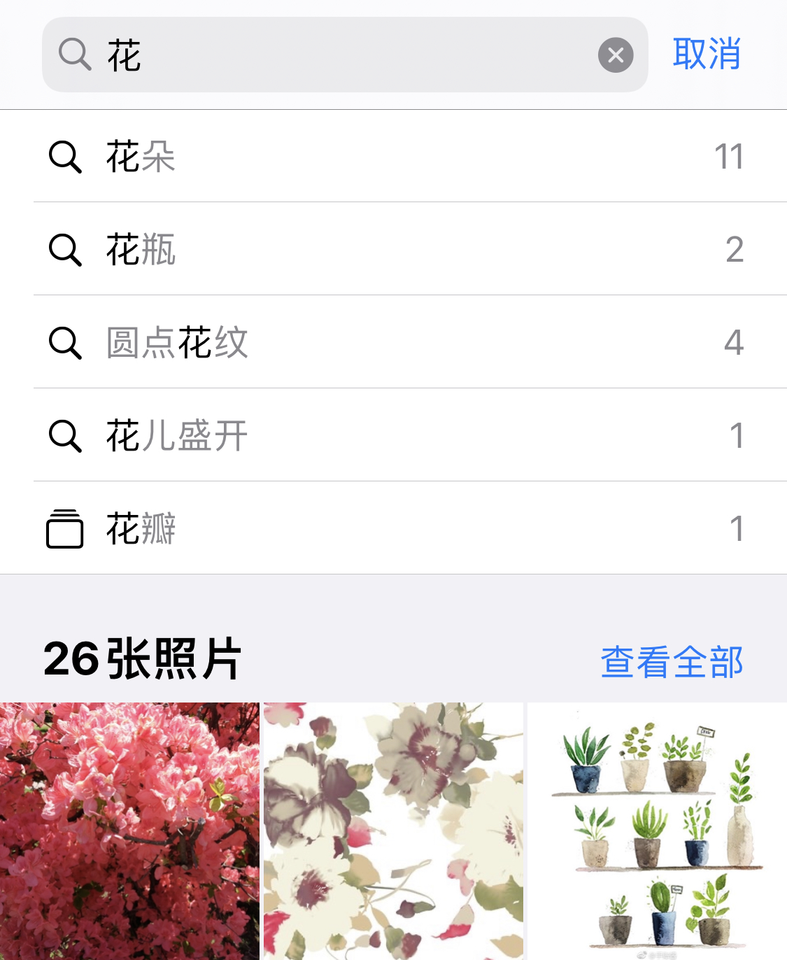 城中苹果手机维修分享iPhone 小技巧 